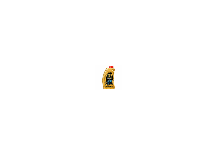 FIGHTER 4T 20W40